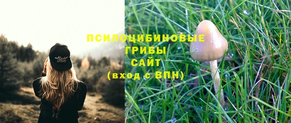 apvp Зерноград