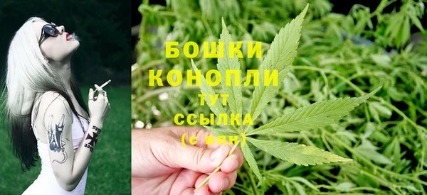 гидра Зеленодольск
